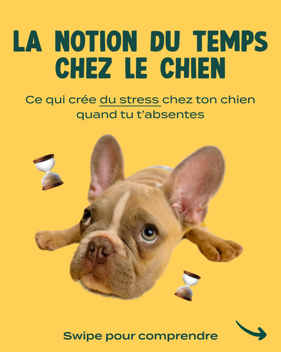 Franklin Pet Food Facebook ad