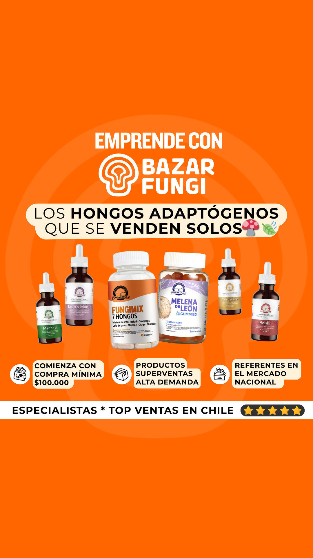 Bazar Fungi Facebook ad