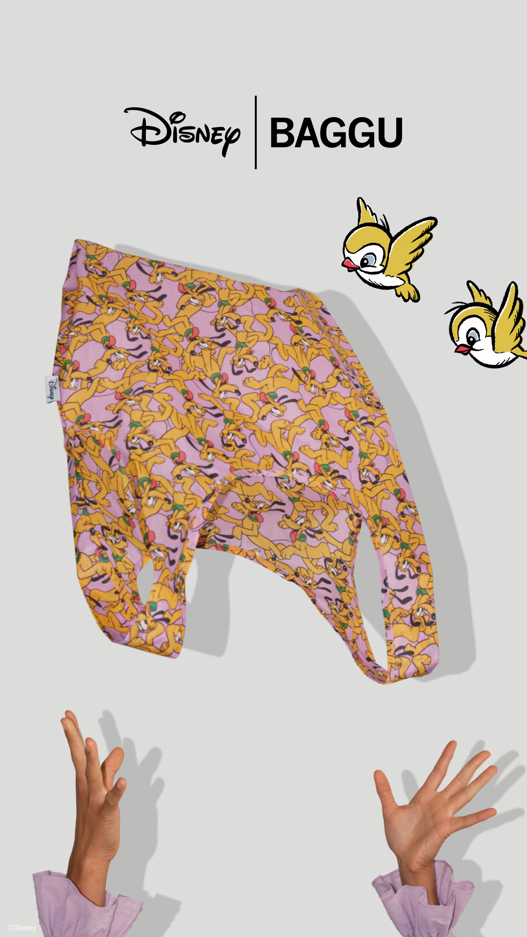Disney Style Facebook ad