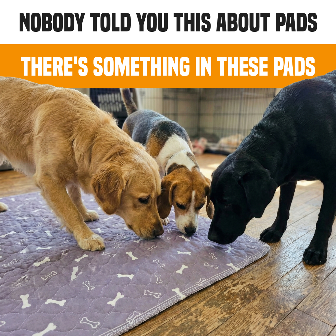 PuppyPad Facebook ad