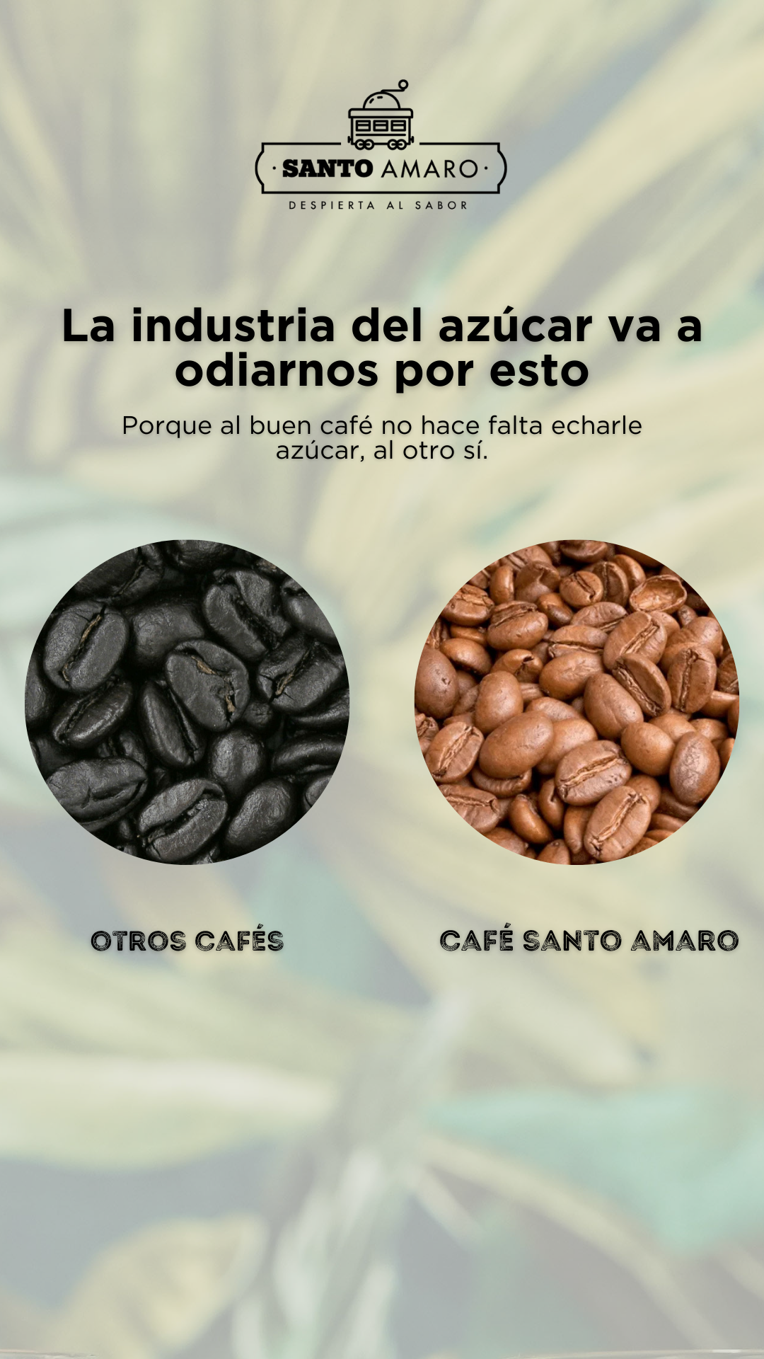 Café Santo Amaro Facebook ad from Jun 11, 2025