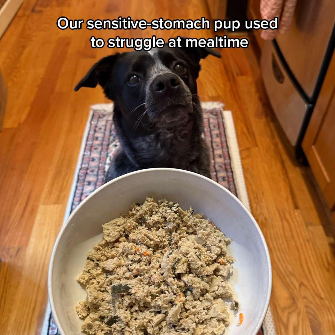 Pets Fanatic Facebook ad: The Farmer’s Dog makes fresh food for dogs…