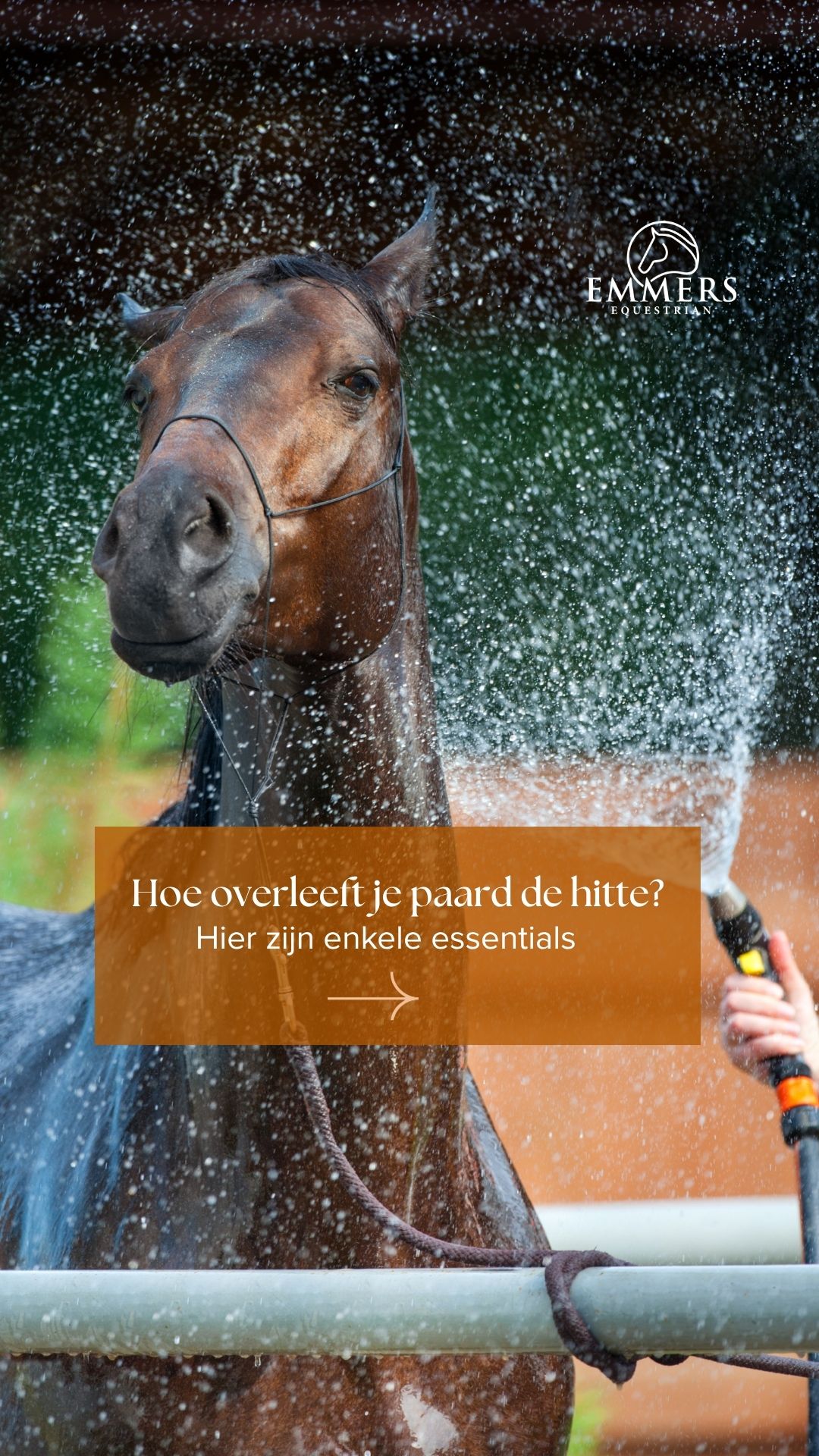 Emmers Equestrian Facebook ad from Jun 19, 2026