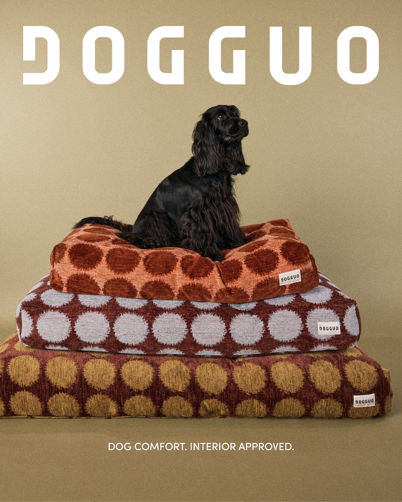 Dogguo Facebook ad