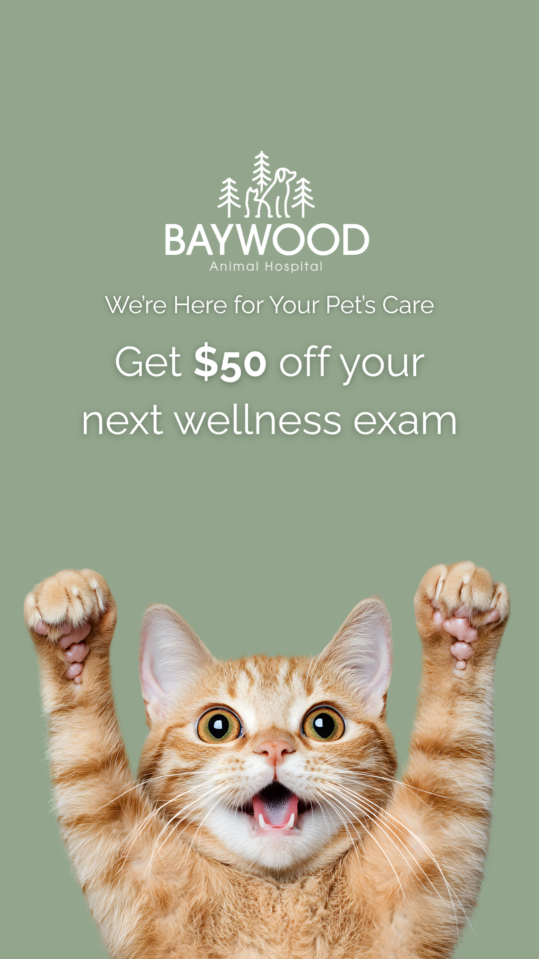 Baywood Animal Hospital, Midhurst Facebook ad