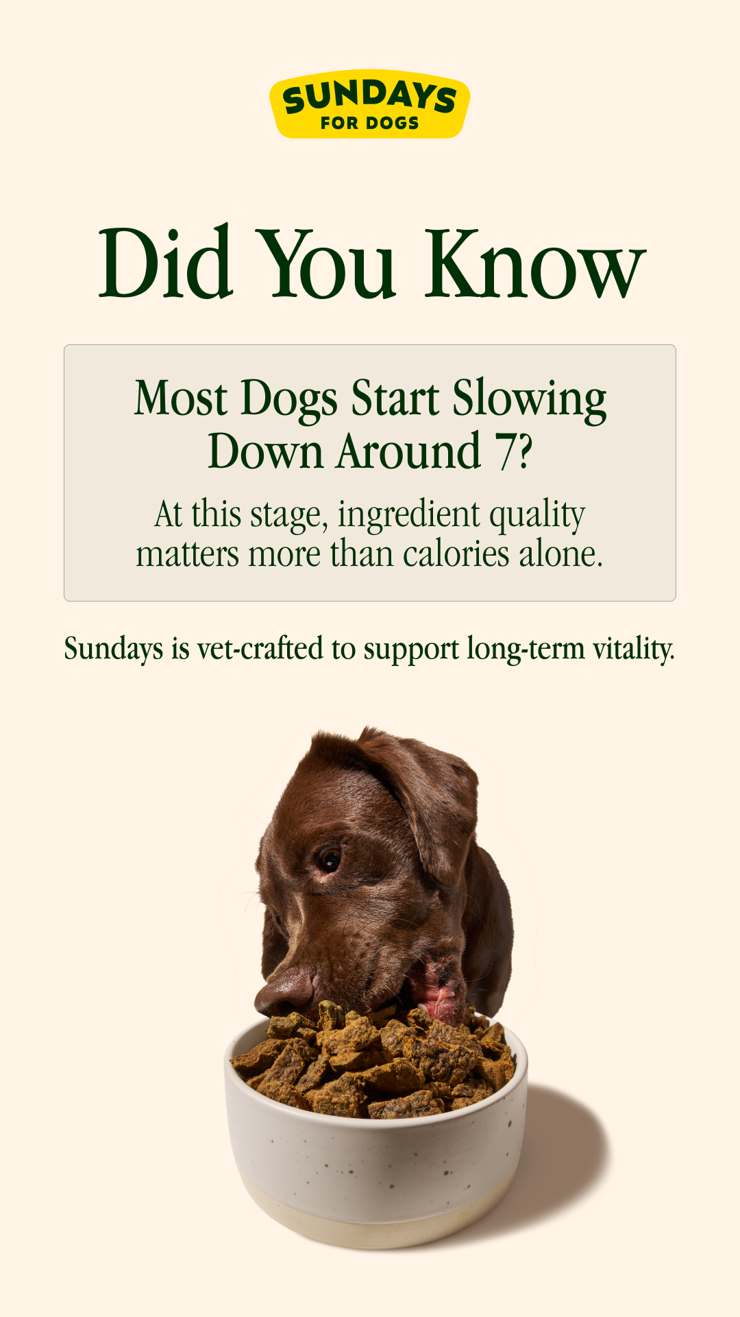 Sundays Facebook ad