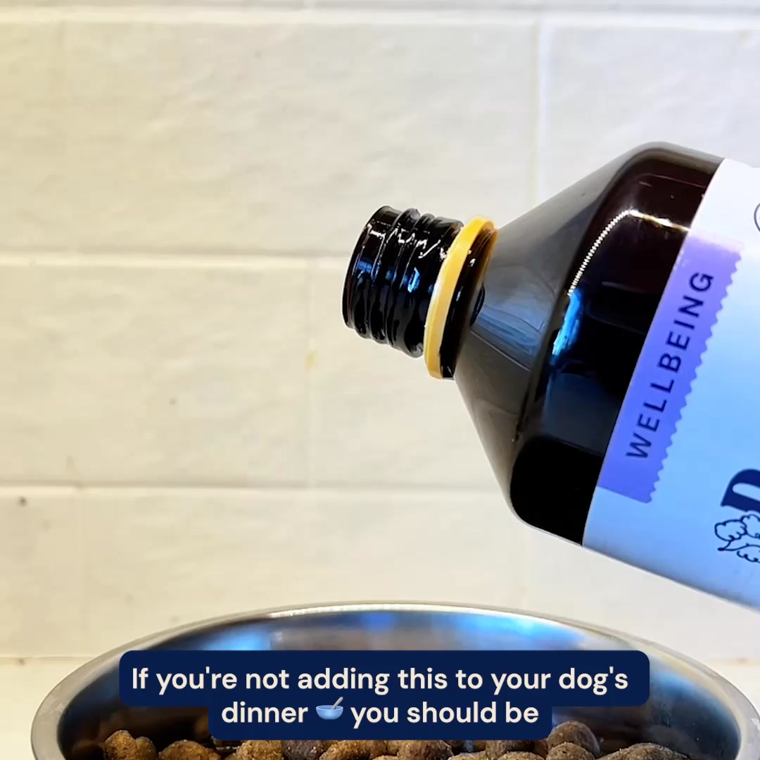 Pooch & Mutt Facebook ad: Salmon Oil for Dogs