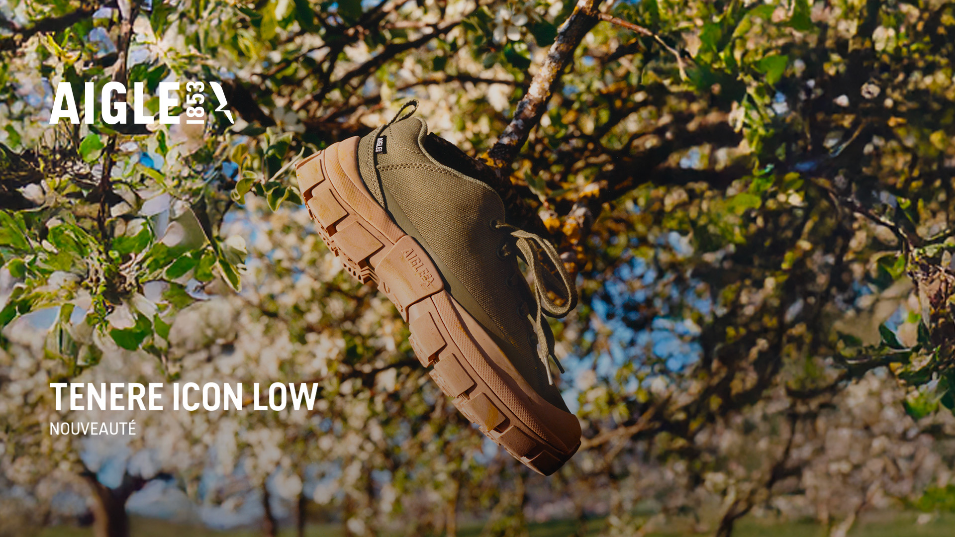 Aigle Facebook ad: Tenere Icon
