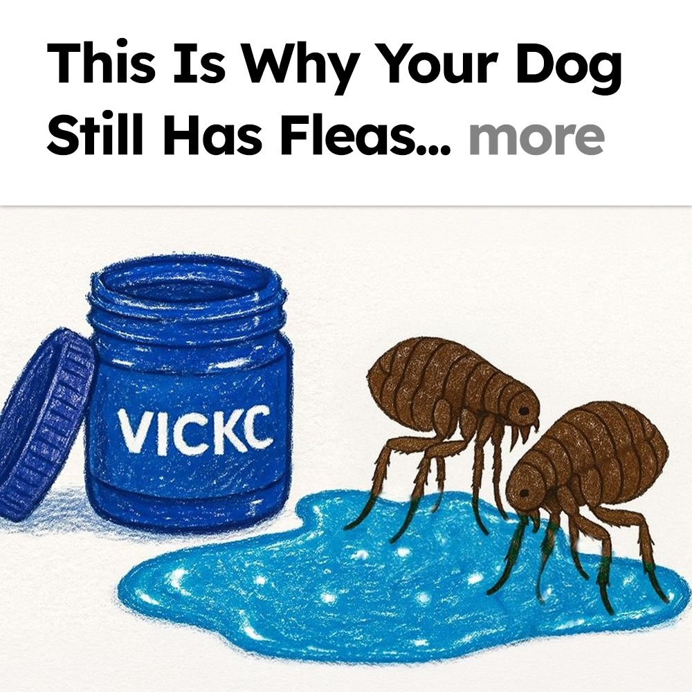 Flea Secrets Facebook ad