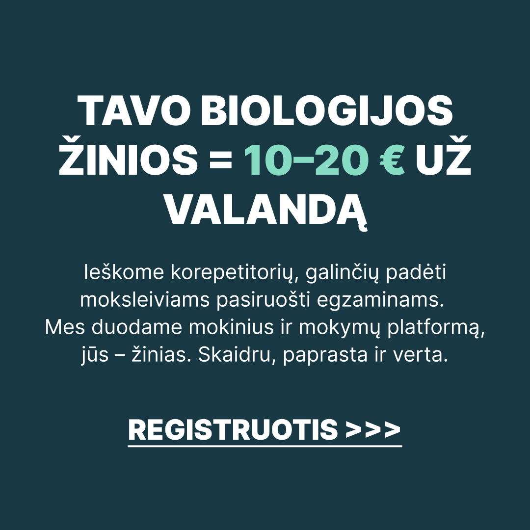 Digiklasė - by Memby Facebook ad