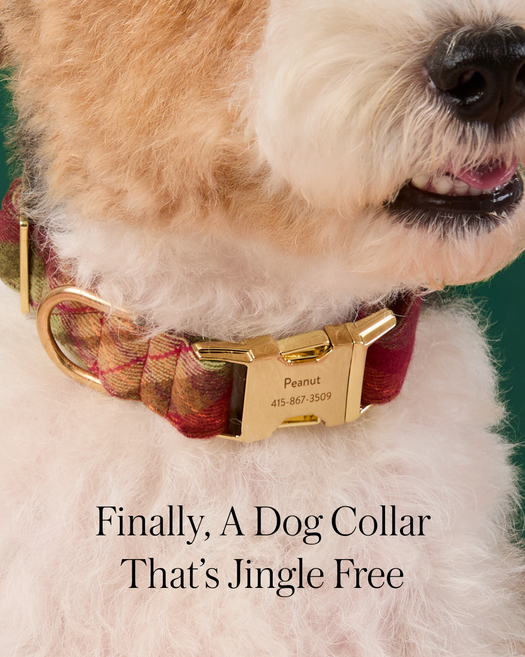 The Foggy Dog Facebook ad