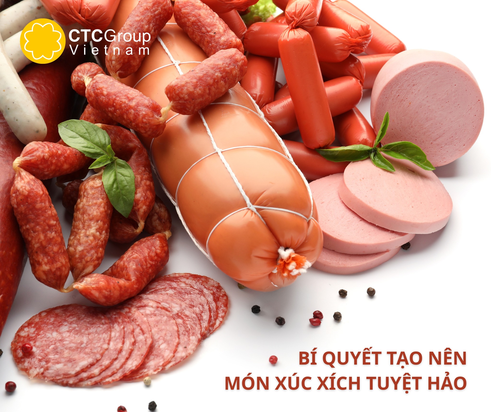 CTC Group Việt Nam Facebook ad
