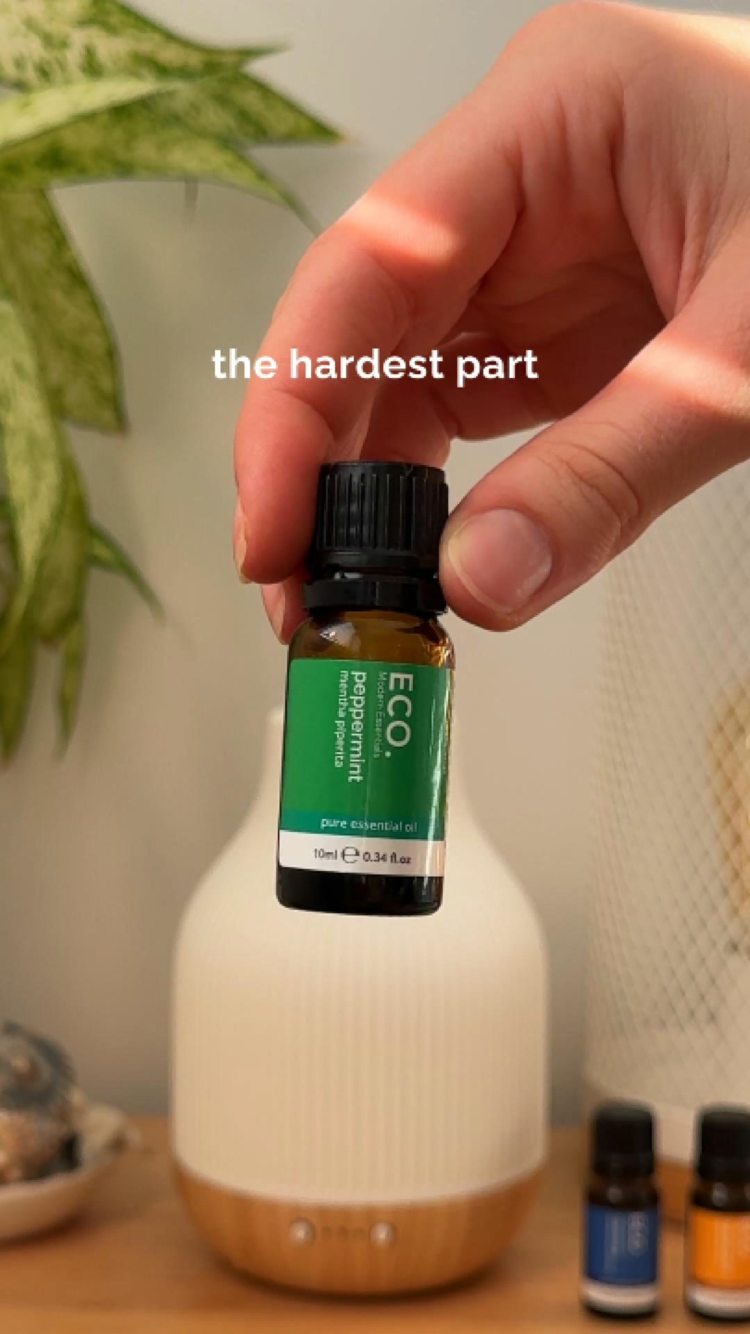 ECO. Modern Essentials Facebook ad from Jul 22, 2026