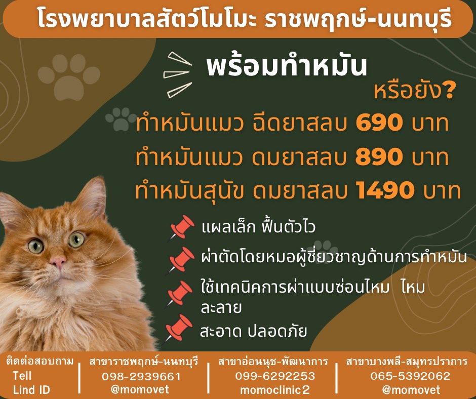 รักษาสัตว์ โมโมะ-สาขาบางพลี ผ่าตัด ทำหมันหมาแมว รักษาโรคทั่วไป Facebook ad: โรงพยาบาลสัตว์โมโมะ สาขาที่ 3 ราชพฤกษ์-นนทบุรี