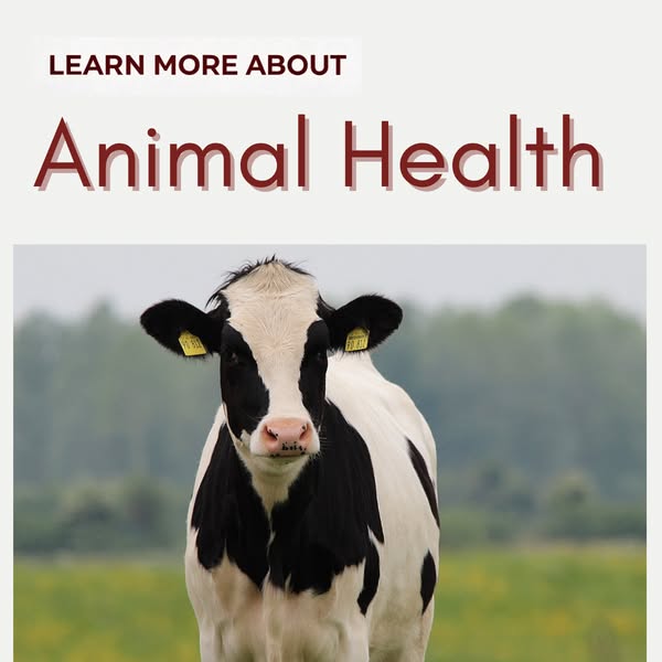 Nisrina Abqori Facebook ad: Learn More About Animal Health and Wellness
