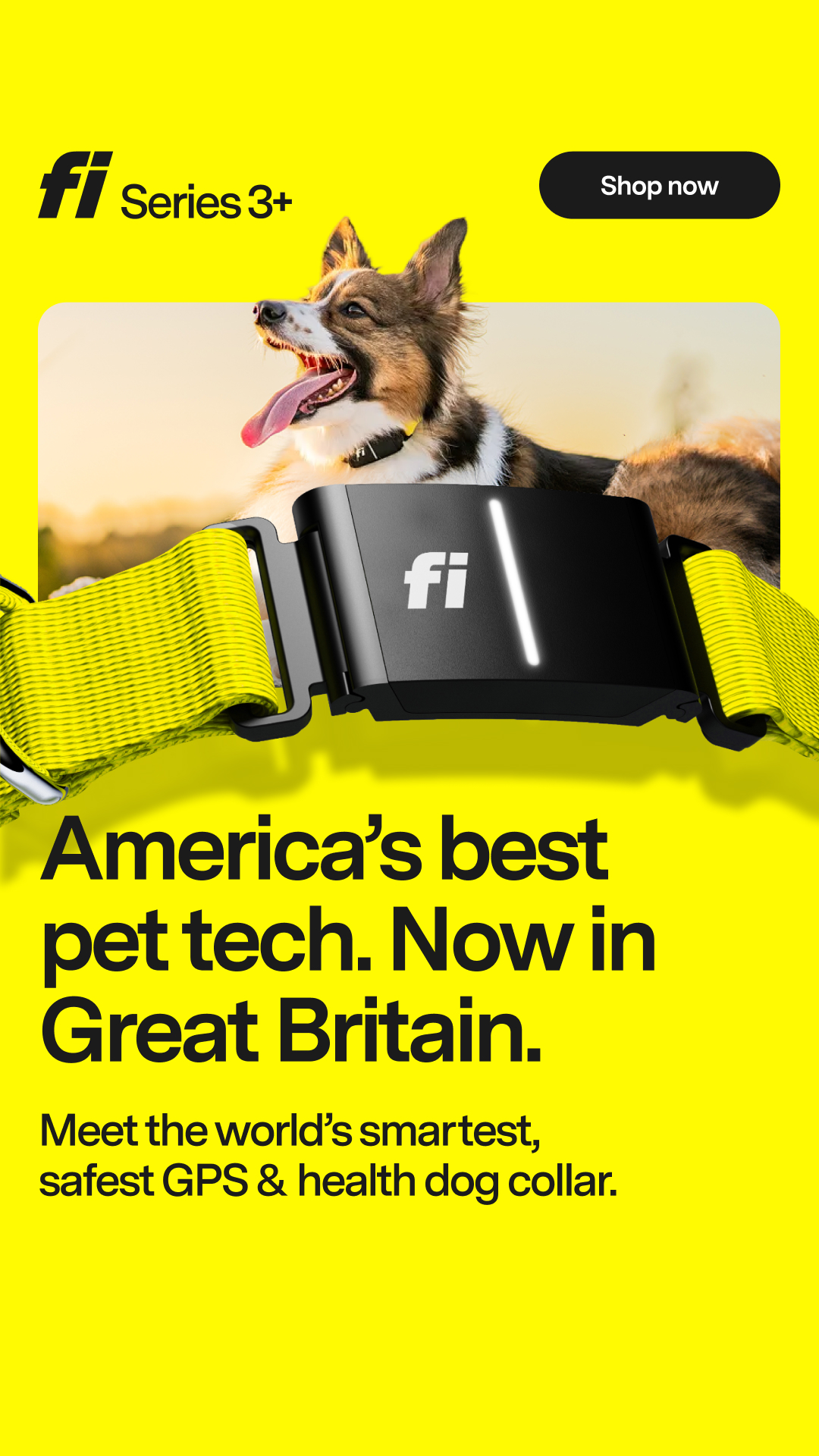 Fi Facebook ad