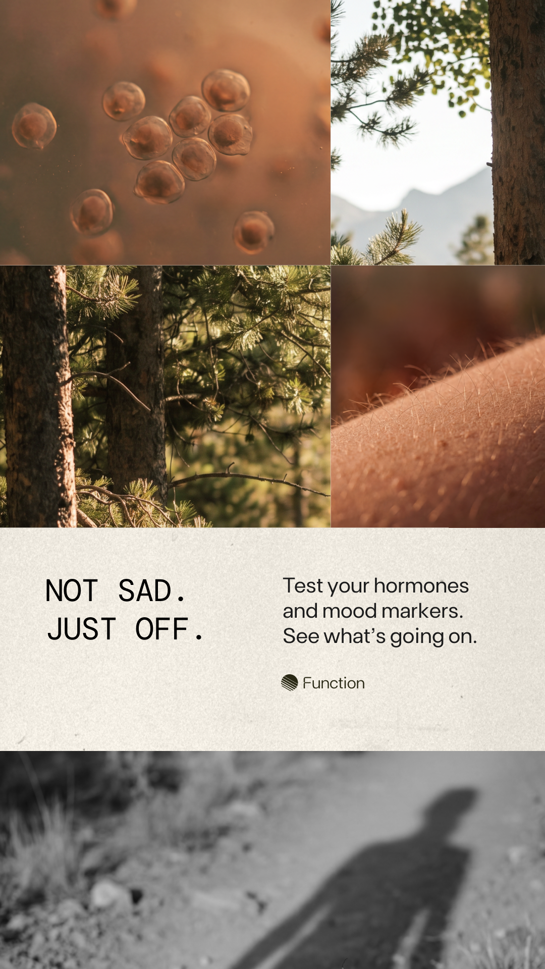 Function Health Facebook ad