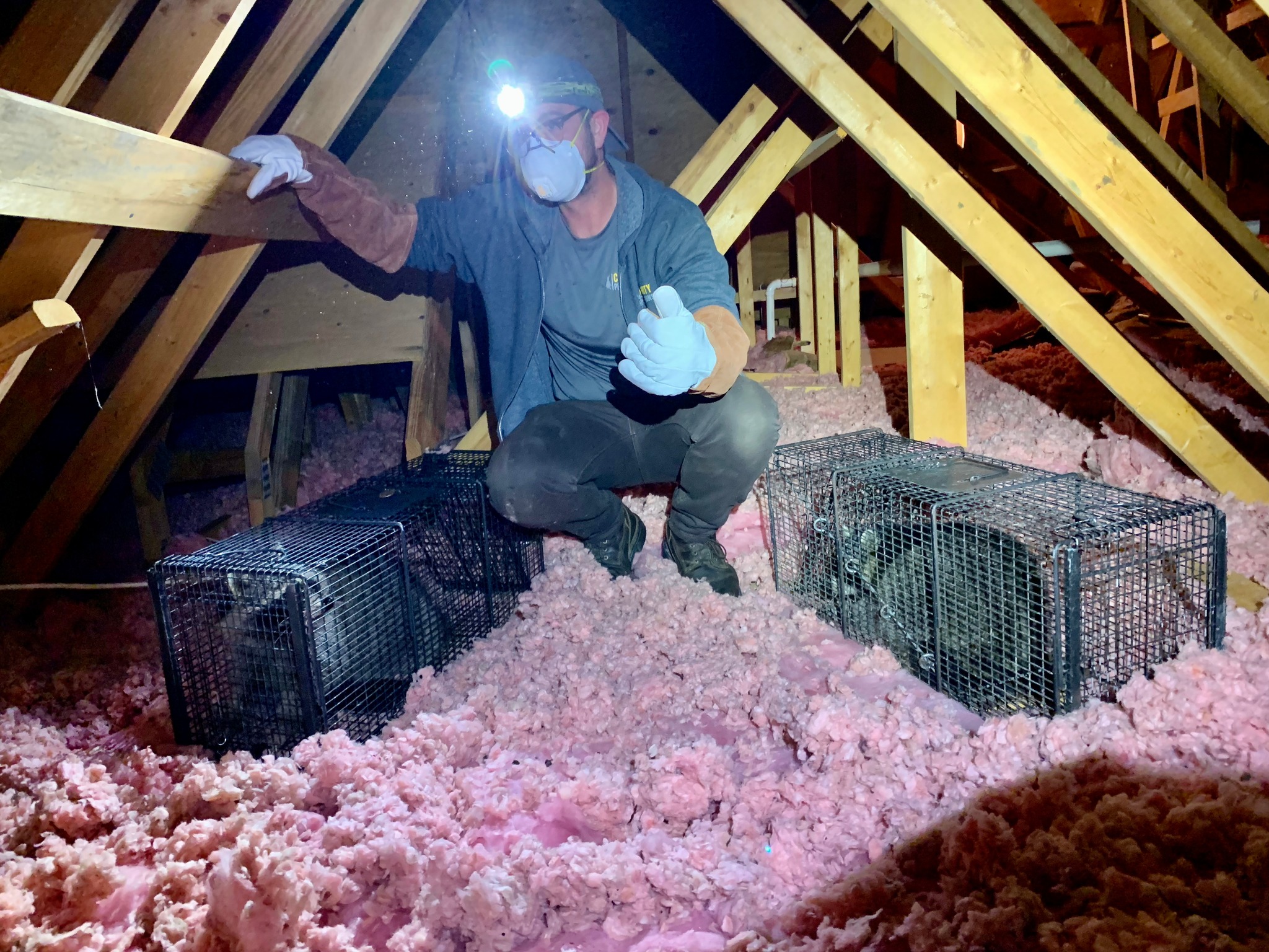 Community Pest Solutions Facebook ad: For prompt, thorough, and friendly service that thousands…