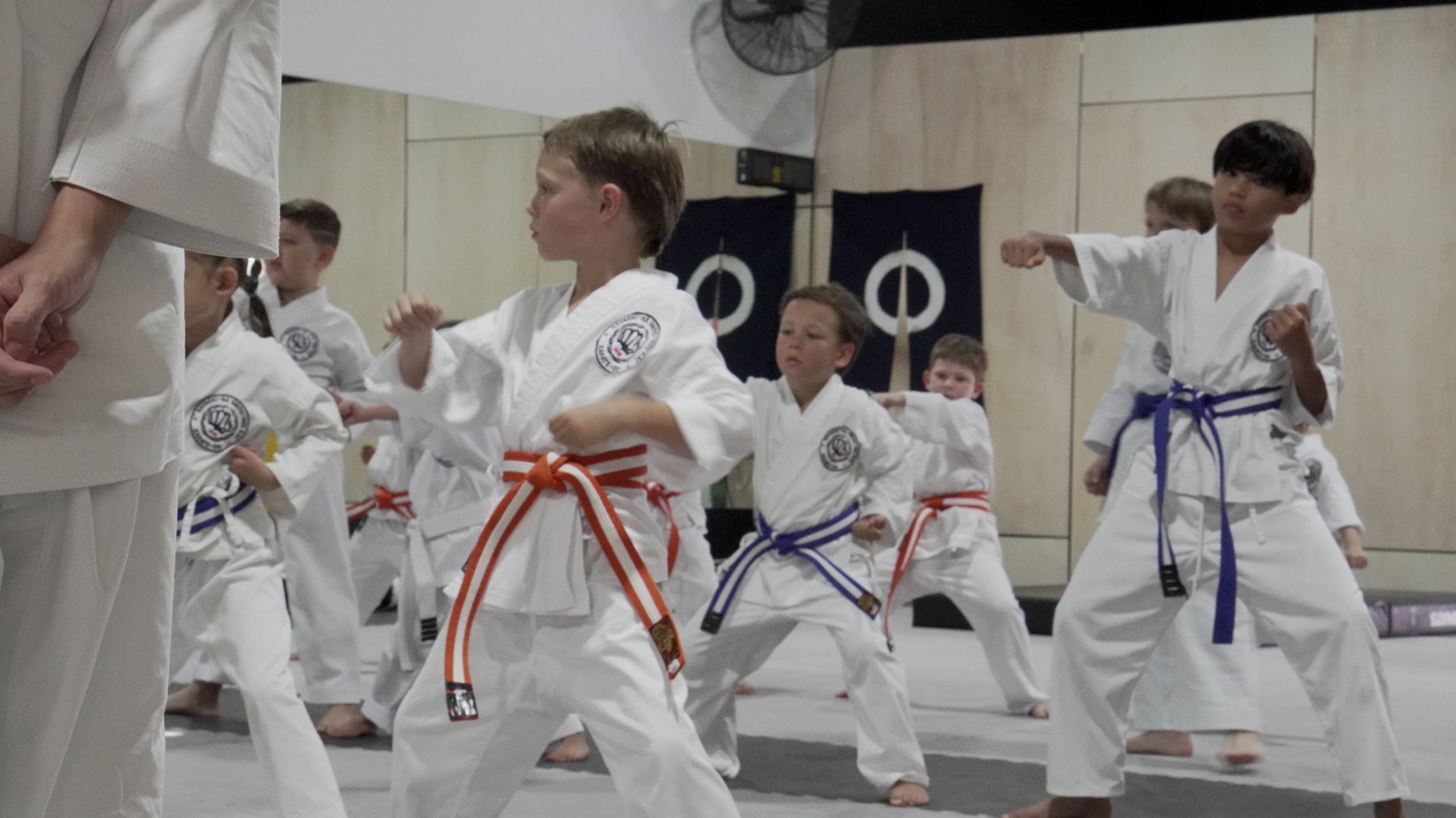 Karate Academy of Power - Hayashiha Queensland Facebook ad