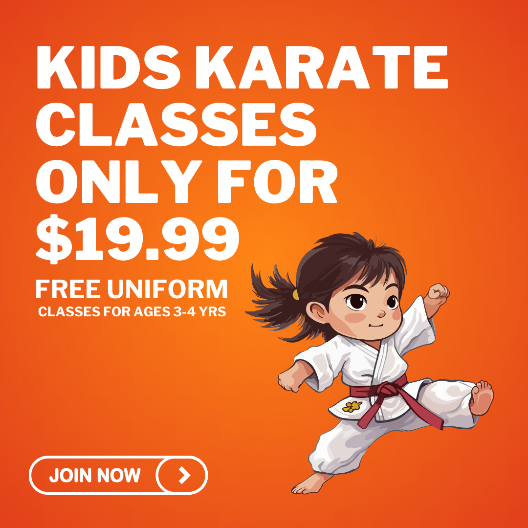 AmeriKick Martial Arts - Staten Island Facebook ad