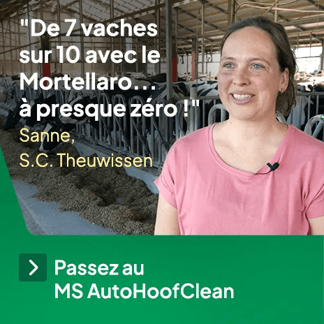 MS Schippers Facebook ad: Productie verhogen? Pak Mortellaro aan