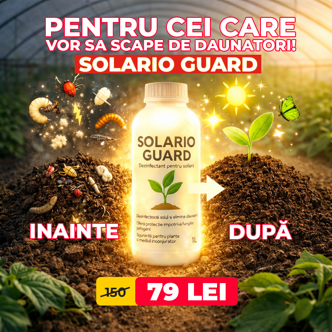 Maestrul Casei Facebook ad: NR.1 IN ROMANIA