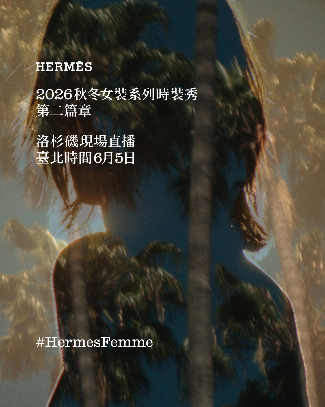 Hermès Facebook ad