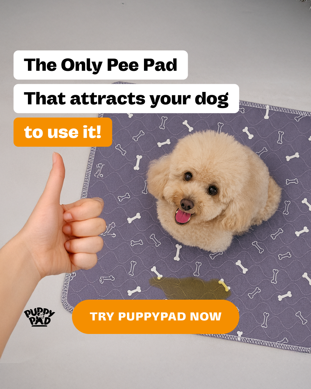 PuppyPad Facebook ad