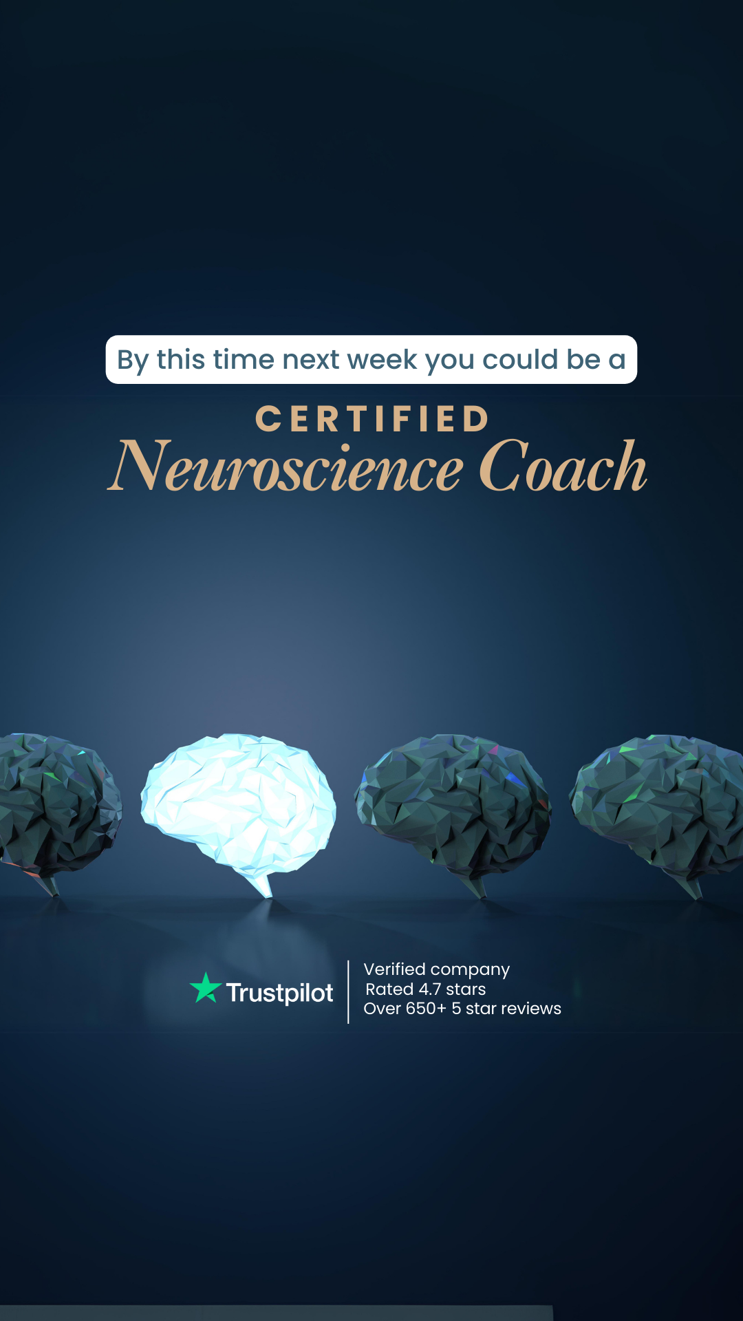 Efficient Coach Facebook ad