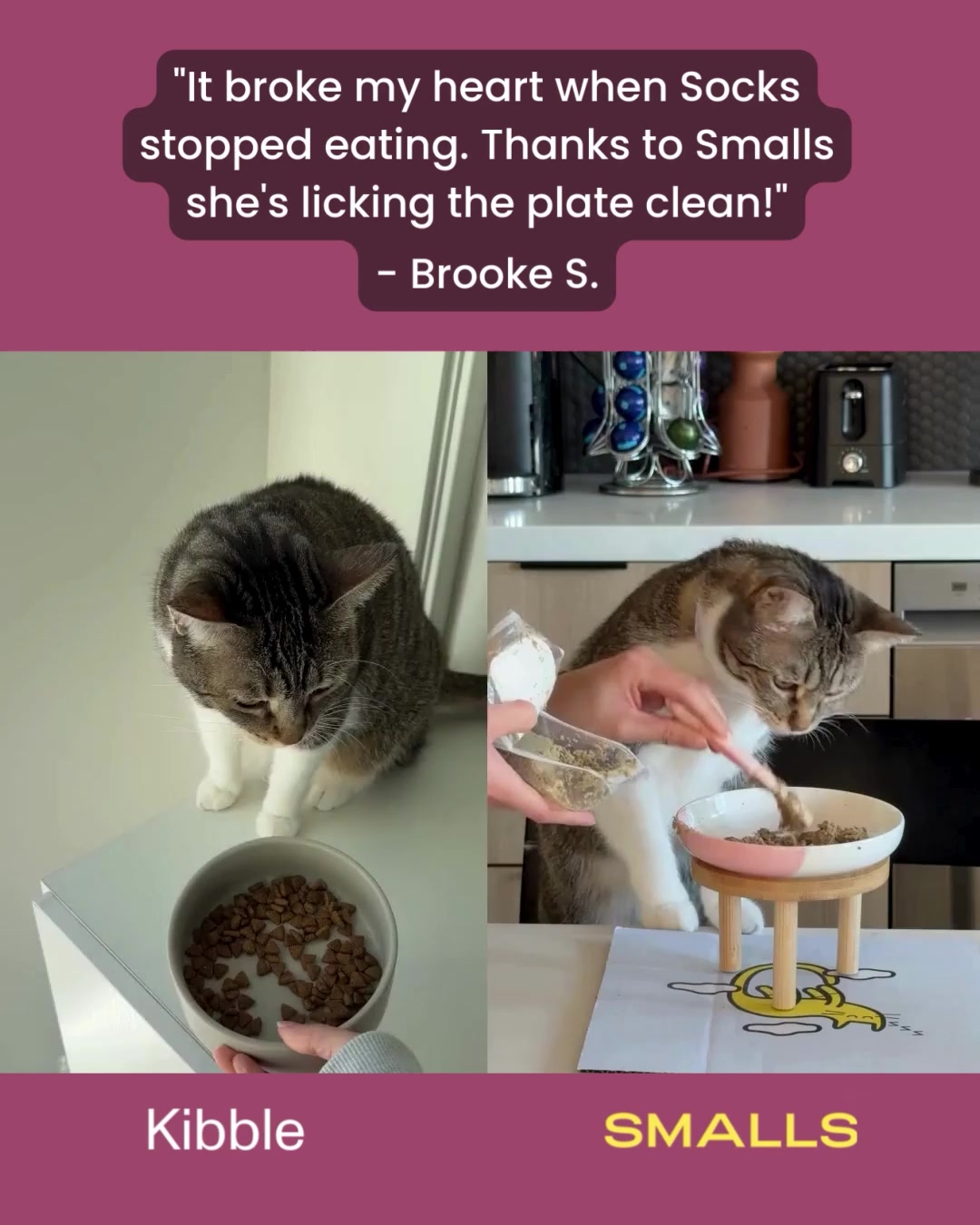 Smalls Facebook ad: Human-Grade Fresh Cat Food