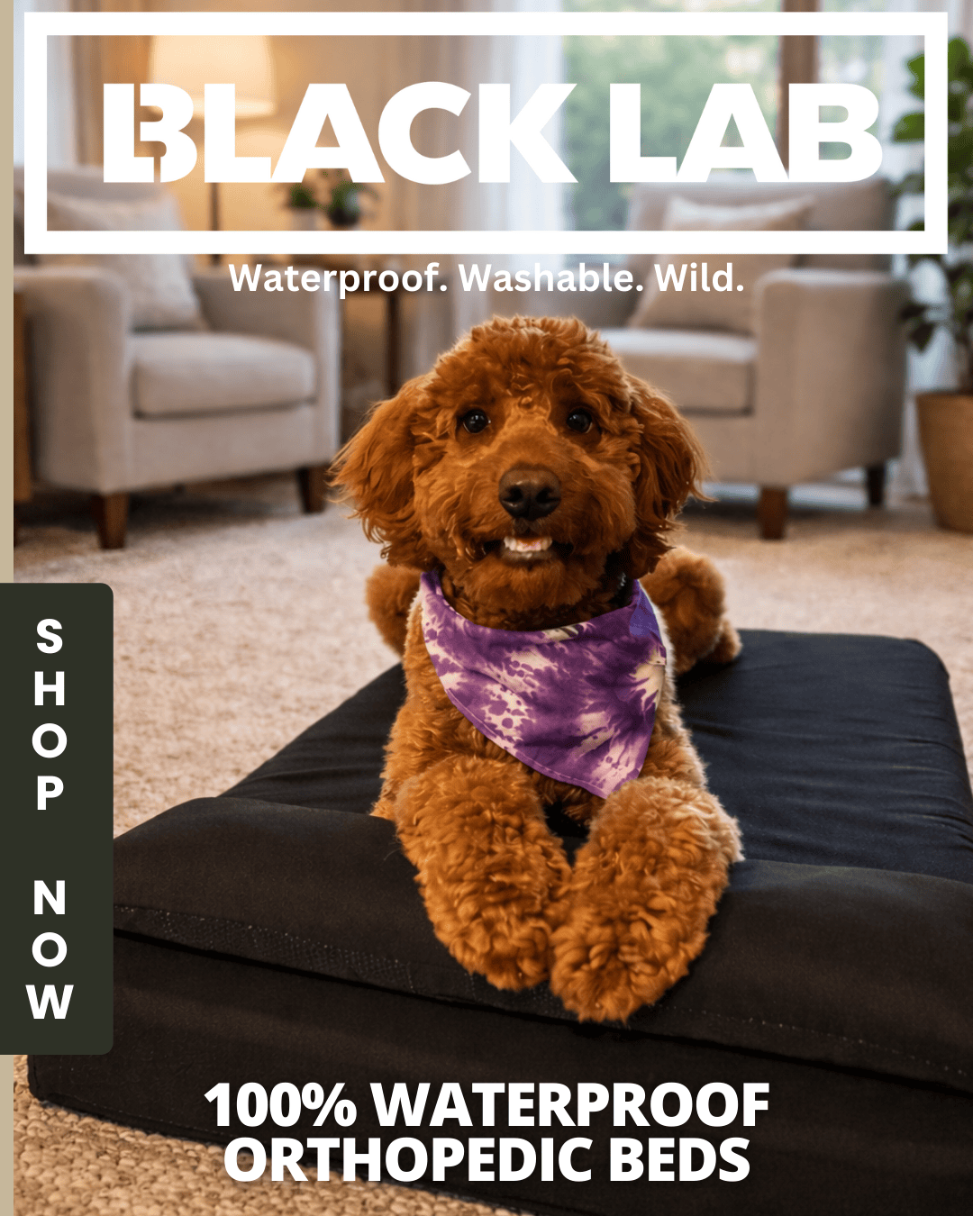 Black Lab Brands Facebook ad