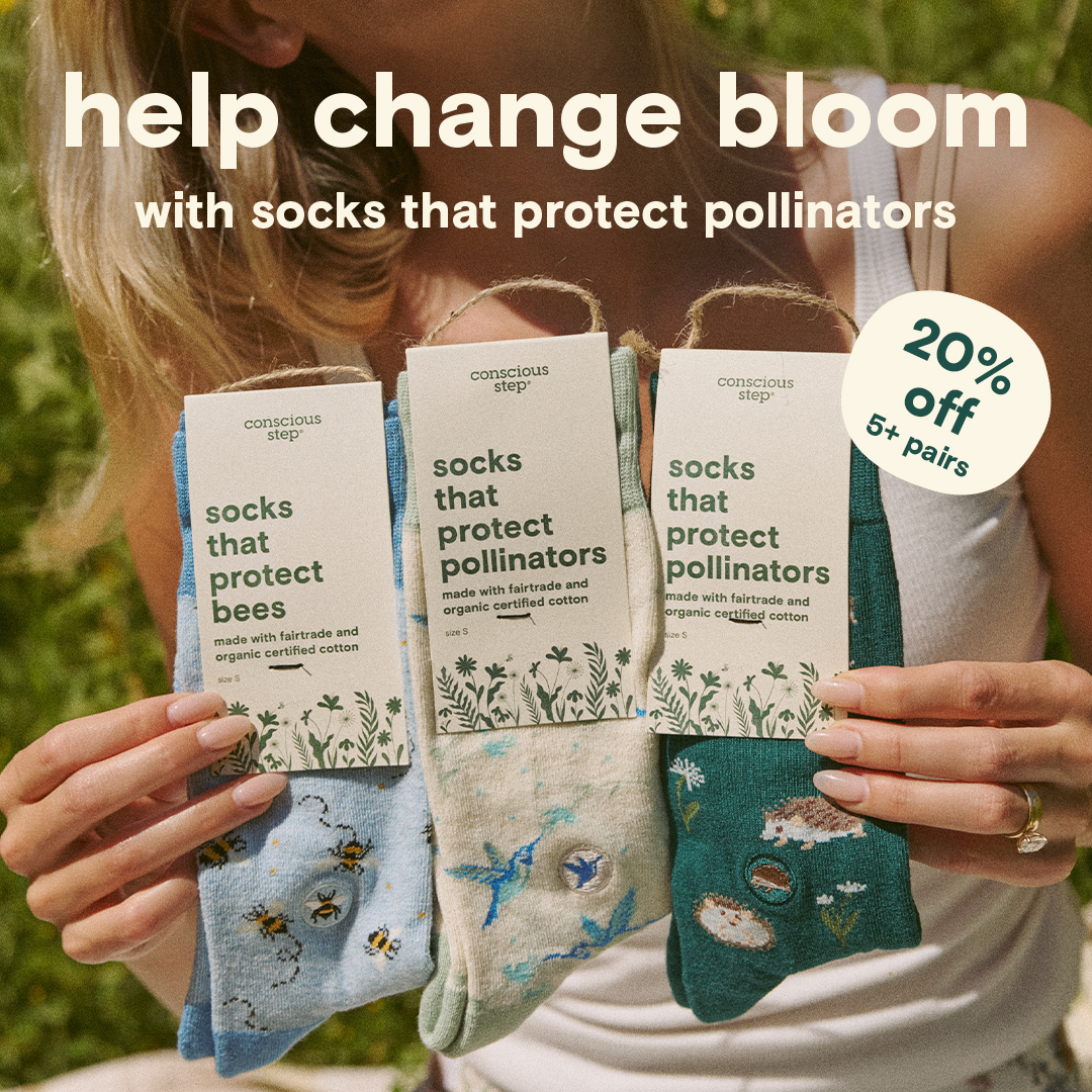 Conscious Step Facebook ad