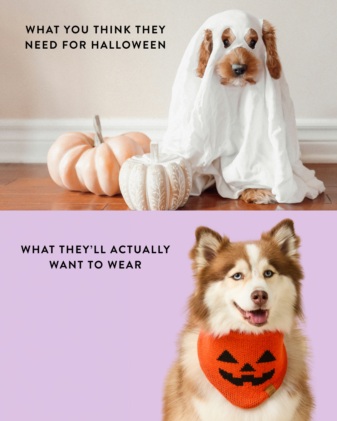 The Foggy Dog Facebook ad
