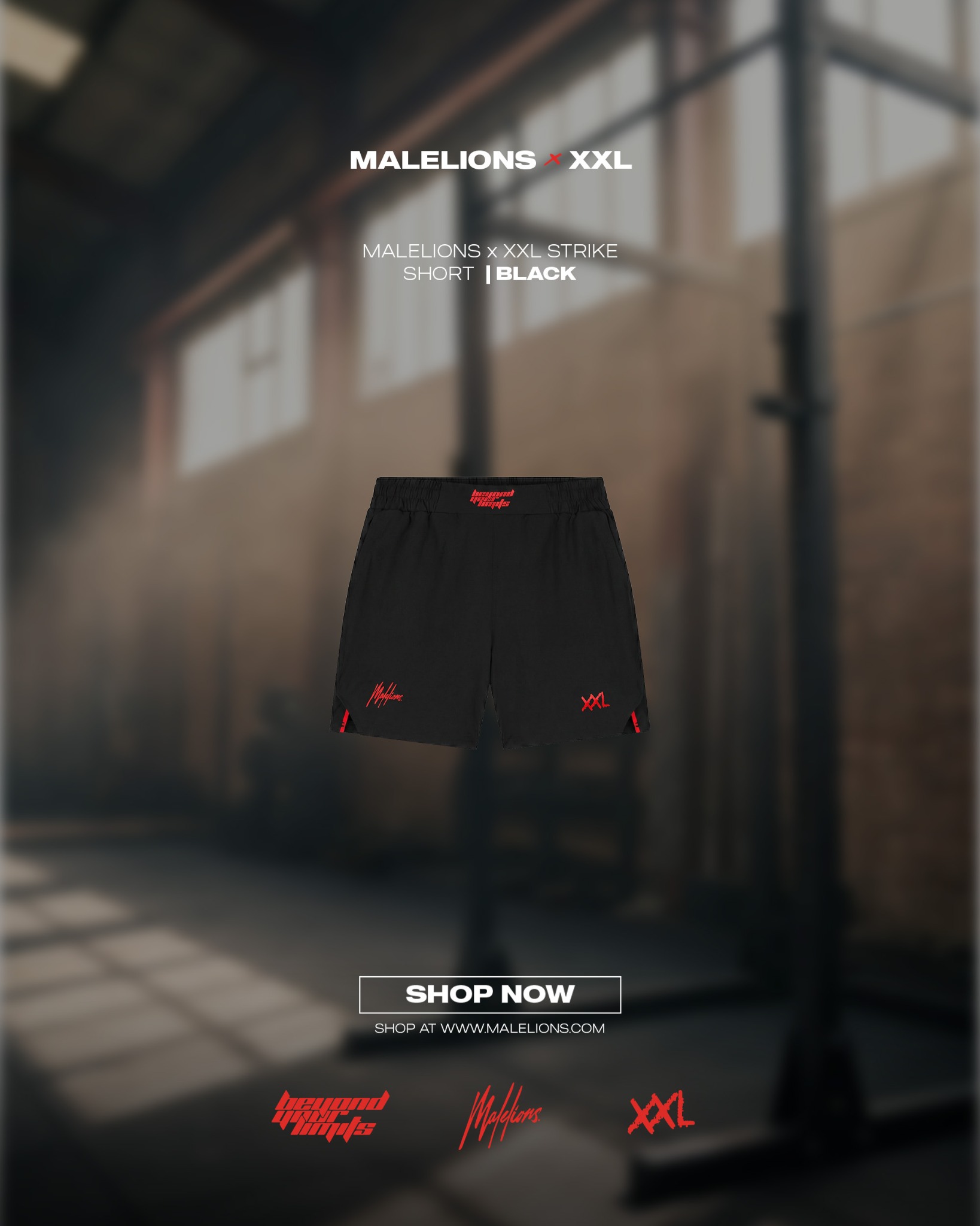 Malelions Facebook ad