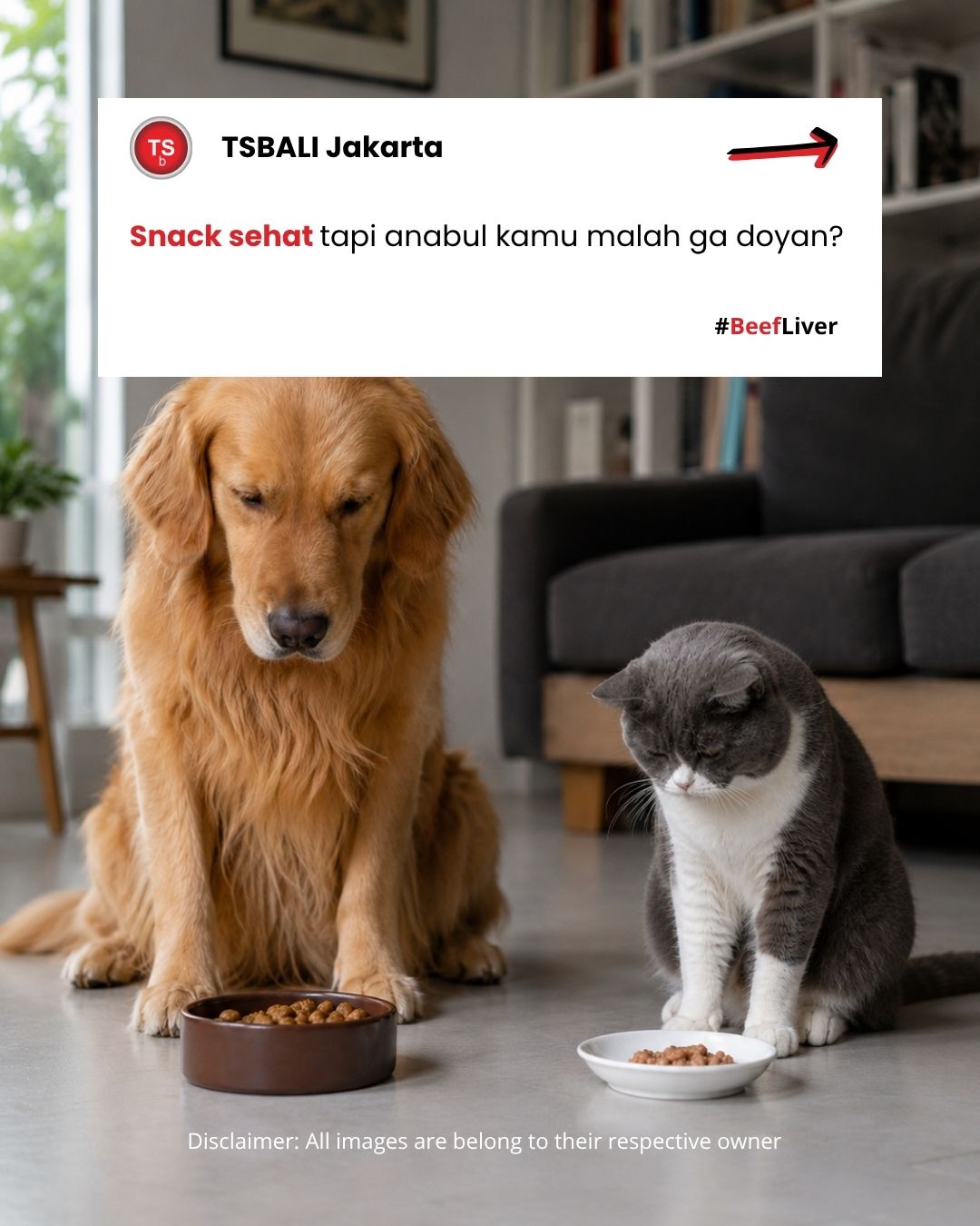 tsbali.jkt Facebook ad: Anabul kamu pilih-pilih makan?