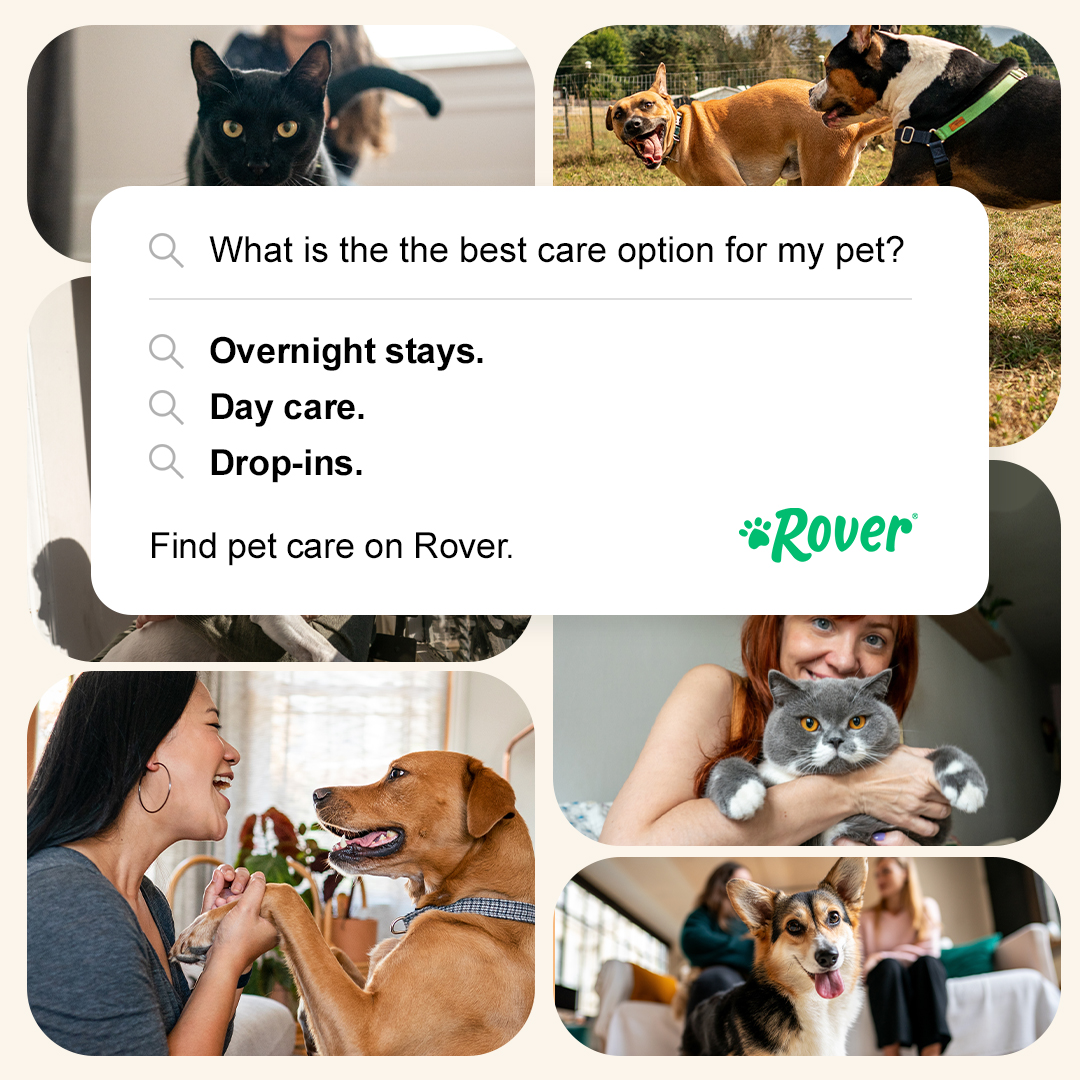 Rover.com Facebook ad: The care your pet needs