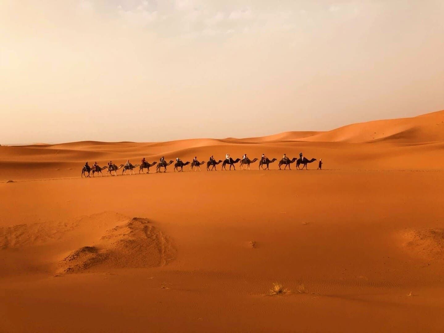 WeRoad Travel Facebook ad