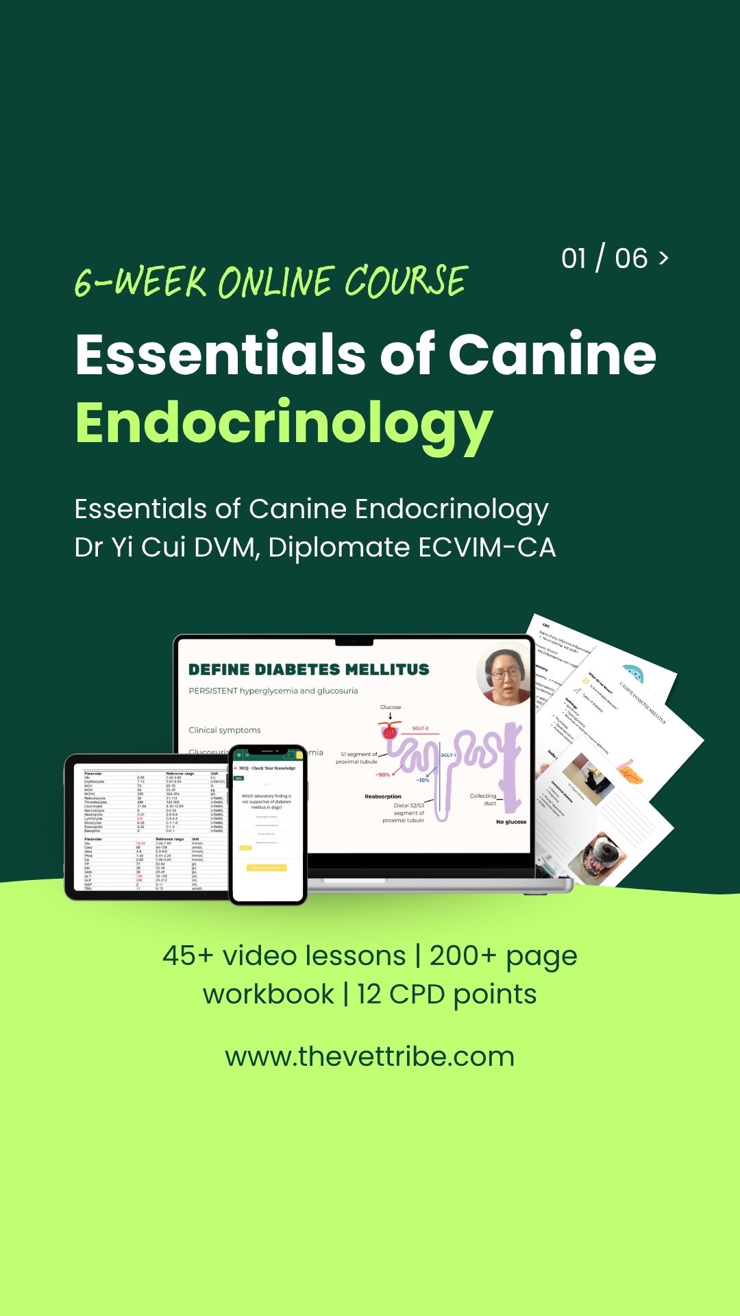 The Vet Tribe Facebook ad from Aug 5, 2026