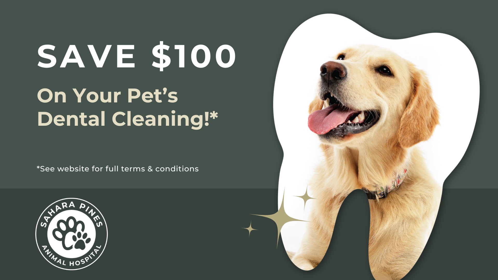 Sahara Pines Animal Hospital Facebook ad from Jan 30, 2026