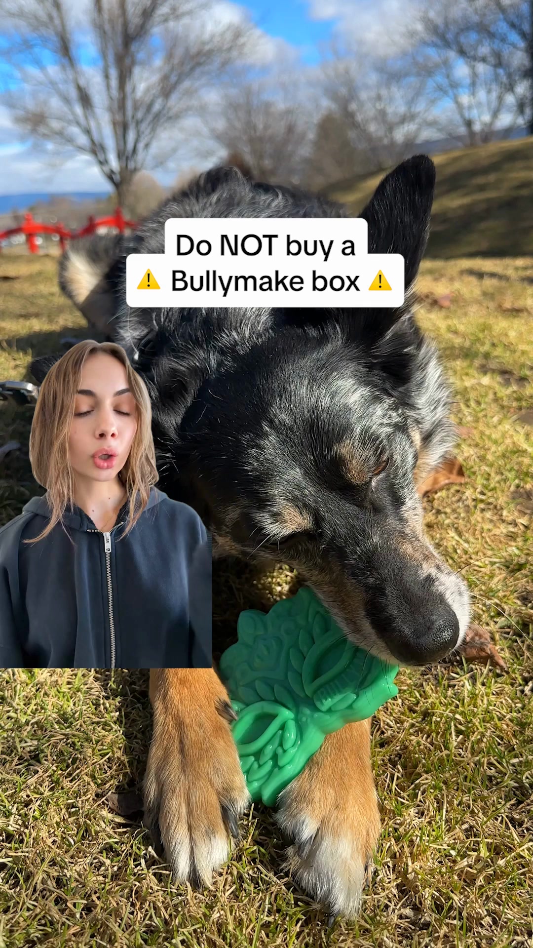 Canine Curations Facebook ad: Built for Power Chewers