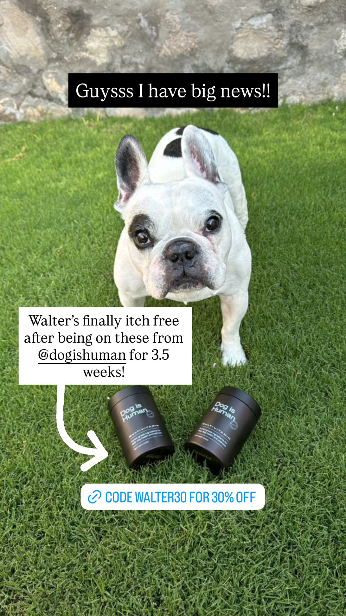 Dog is Human Facebook ad