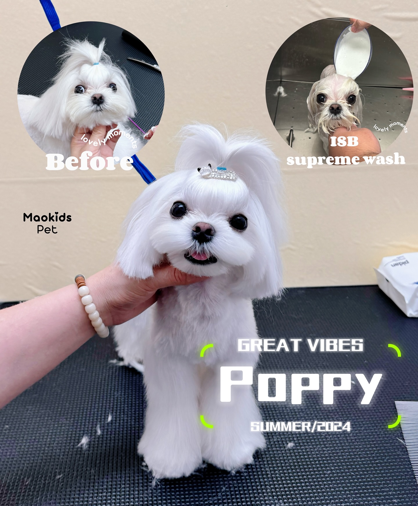 Maokids Pet Salon Facebook ad