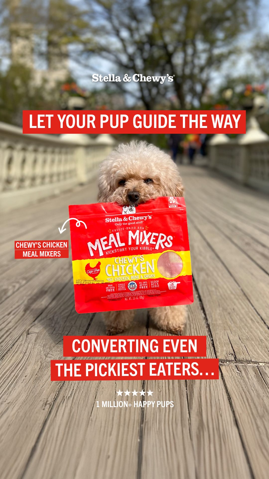 Stella & Chewy's Facebook ad