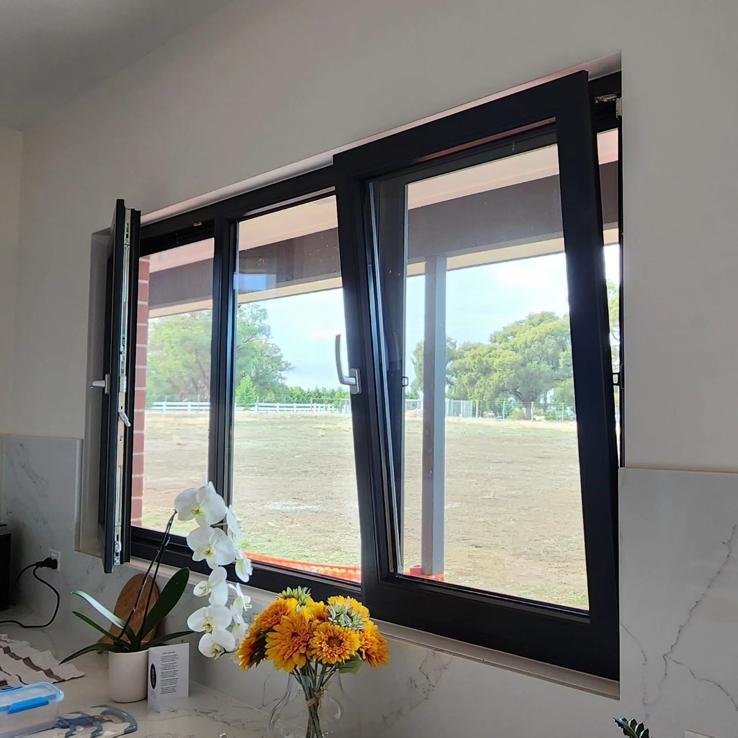 Deluxe Windows Facebook ad