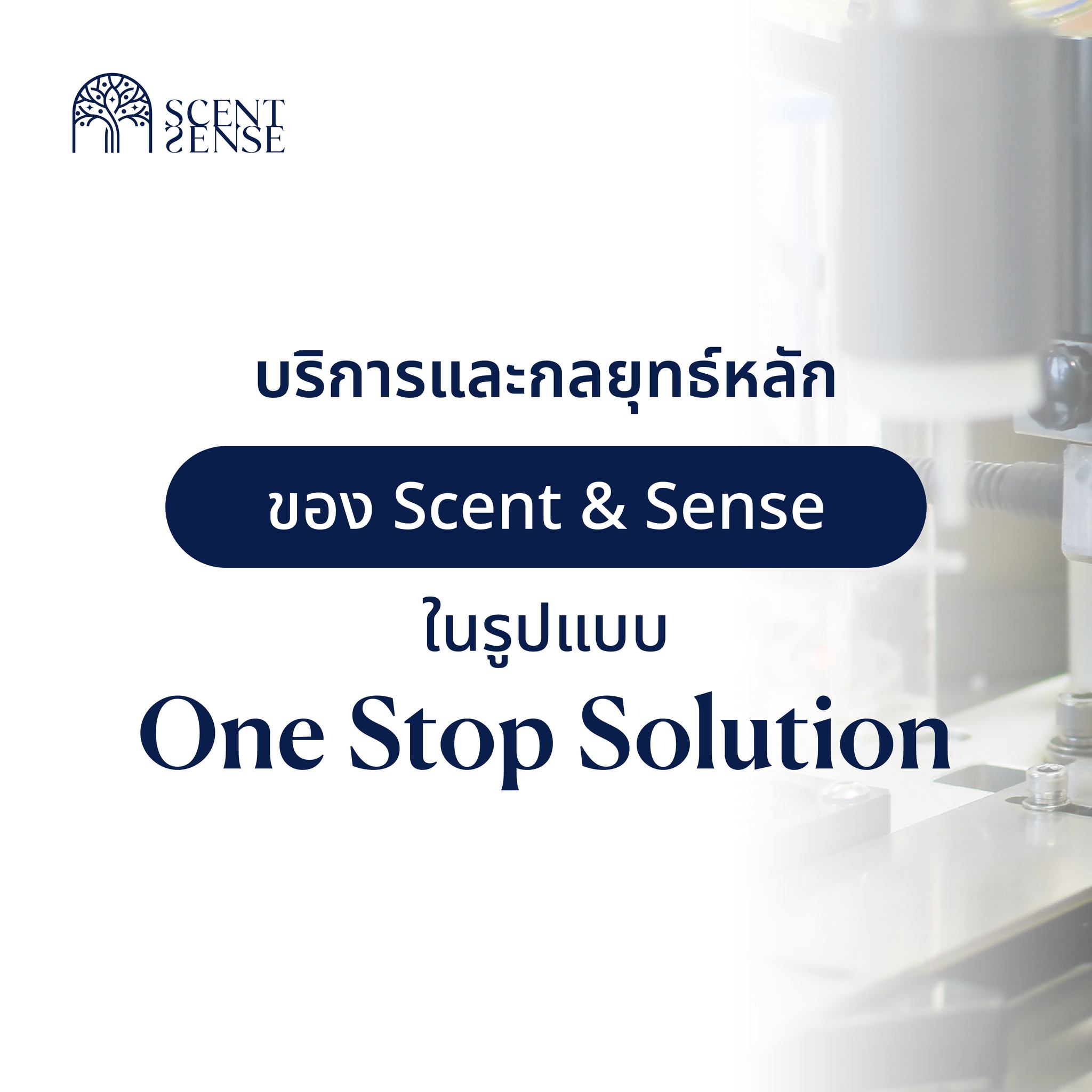 Scent And Sense Facebook ad: อยากสร้างคุณค่าให้แบรนด์เป็นที่น่าจดจำ Scent and sense…