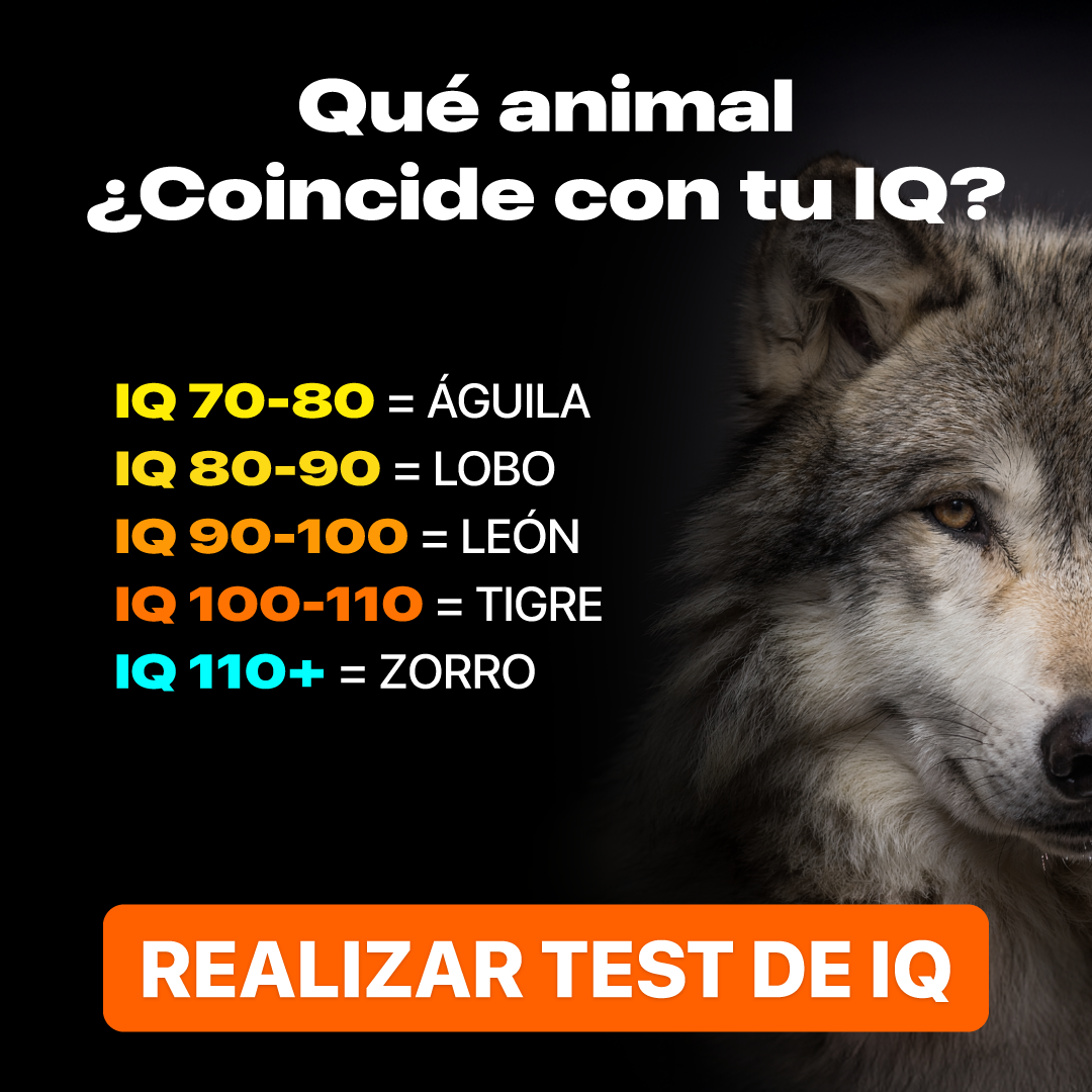 My IQ Facebook ad