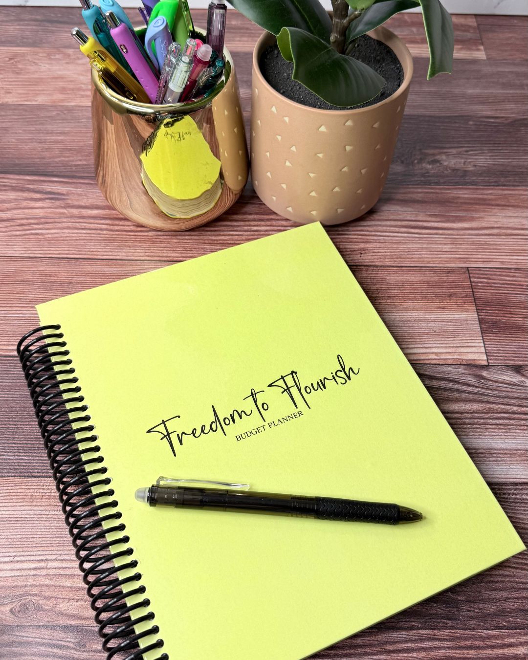 Tre Renee Plans Facebook ad from Feb 16, 2026