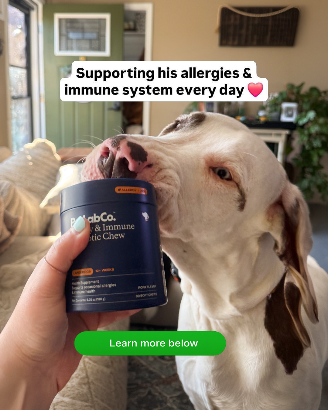 Busterandellashields Facebook ad
