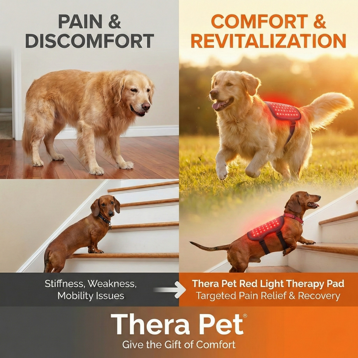 Therapet Co Facebook ad