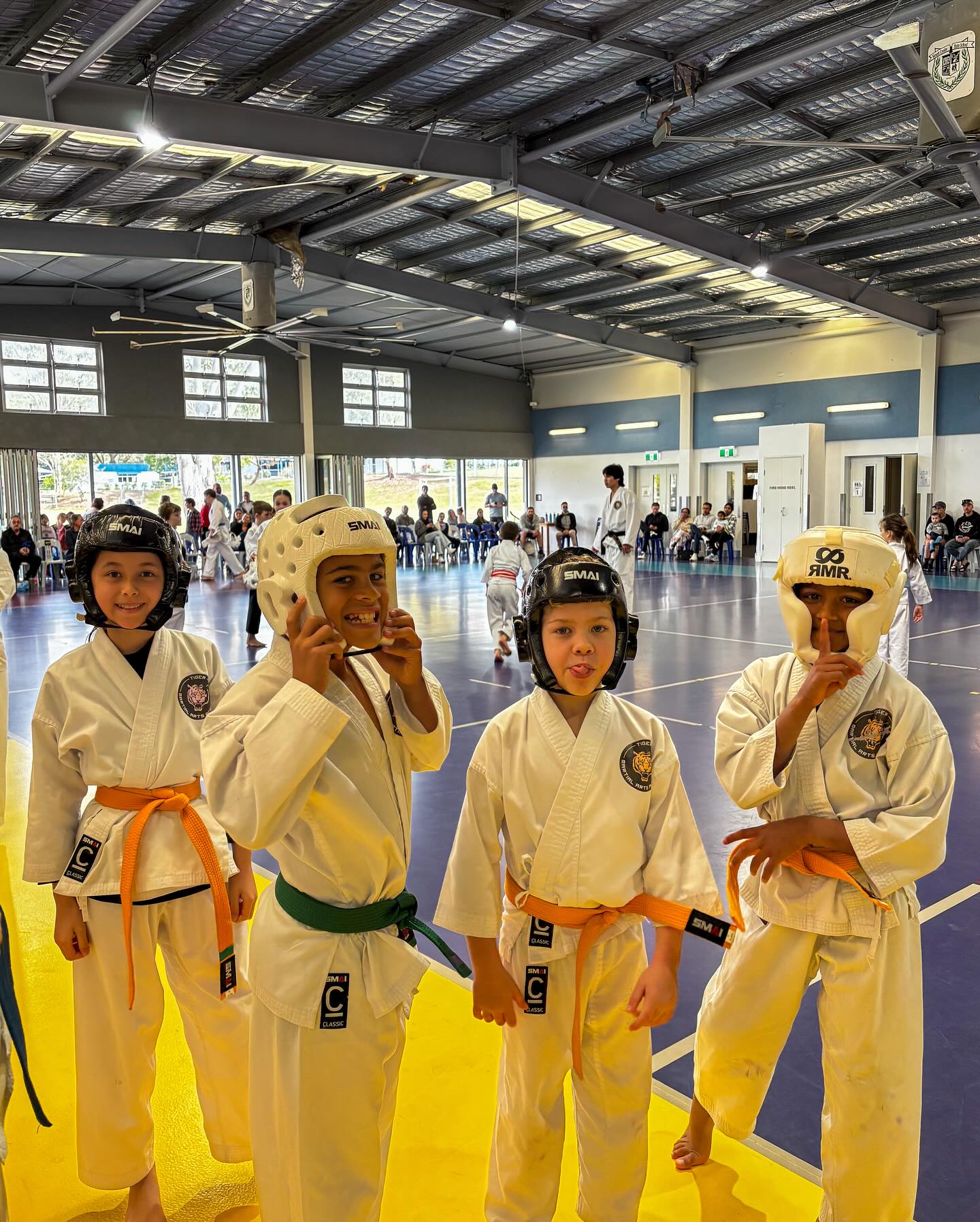 Tiger Martial Art Academy Facebook ad